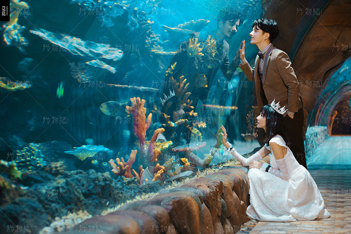 水族馆、氛围森系、