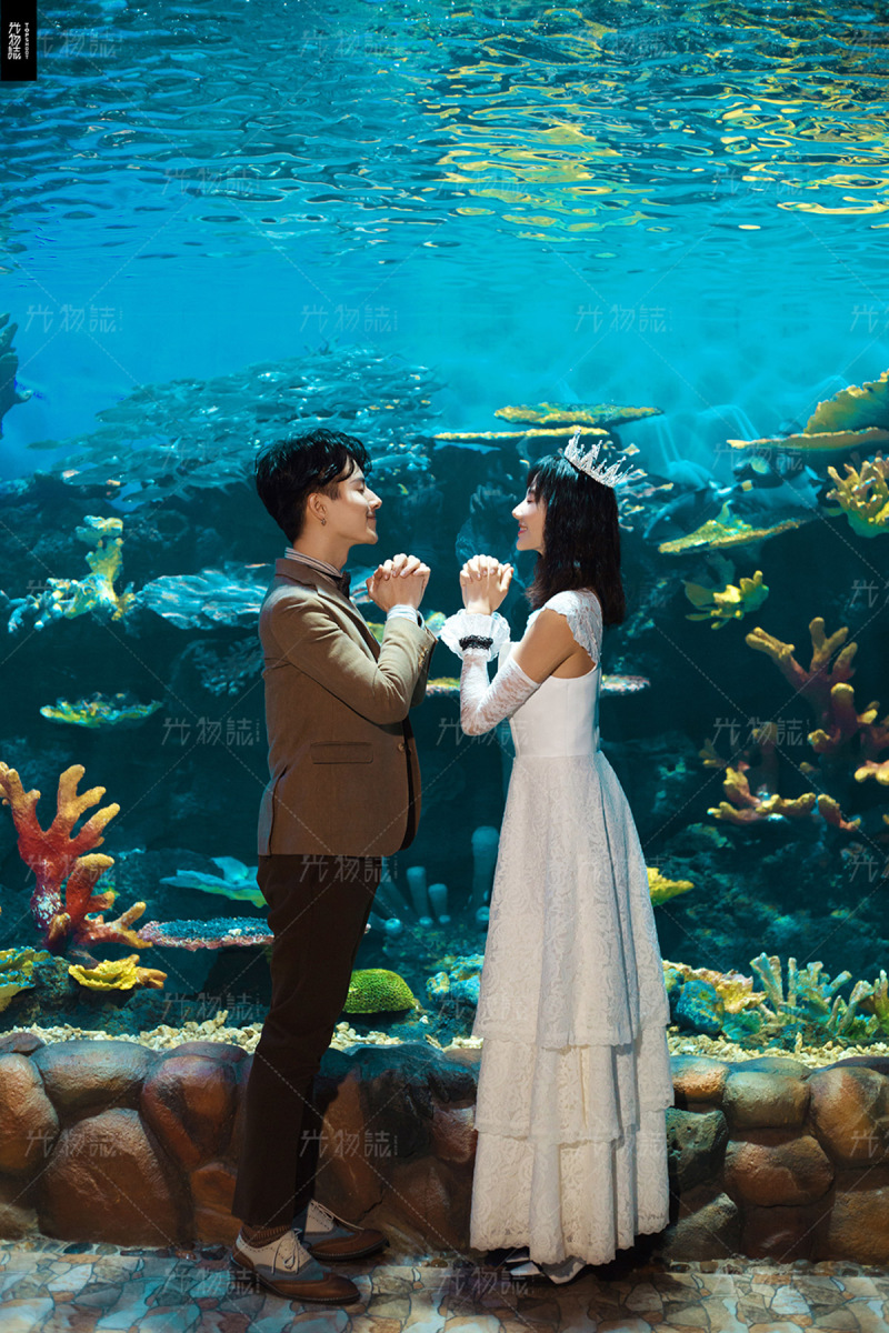 水族馆、氛围森系、