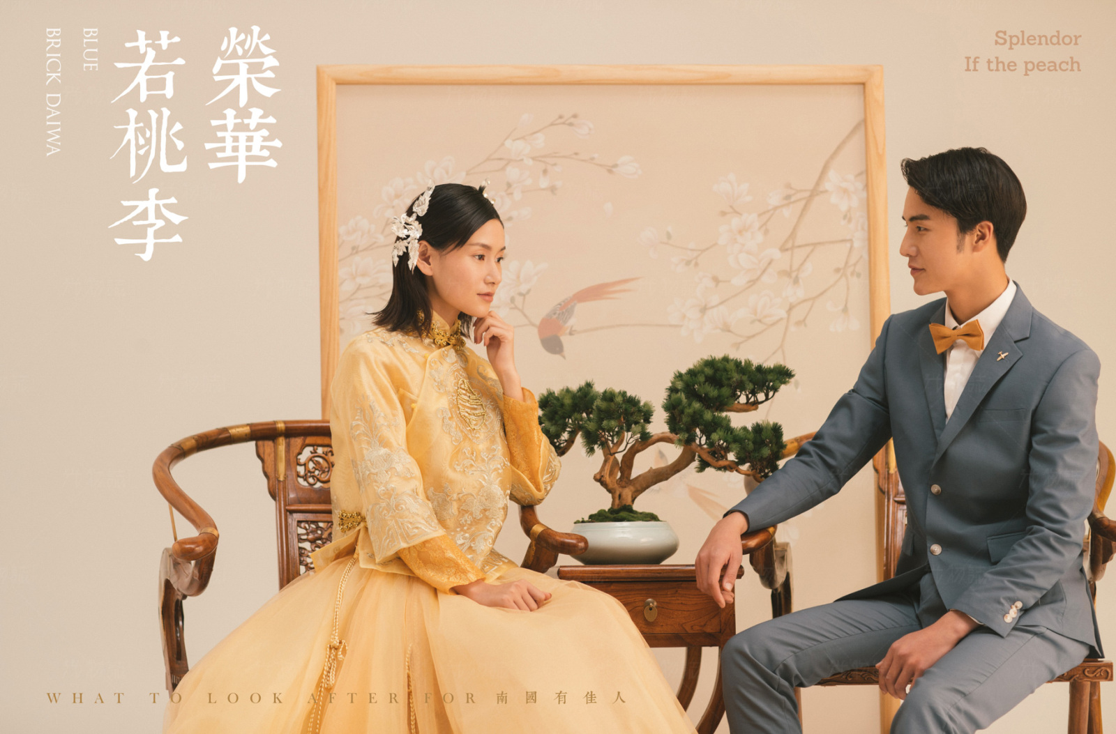 春意满堂、极简棚拍、
