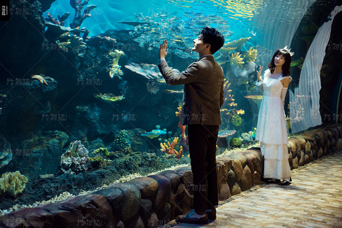 水族馆、氛围森系、