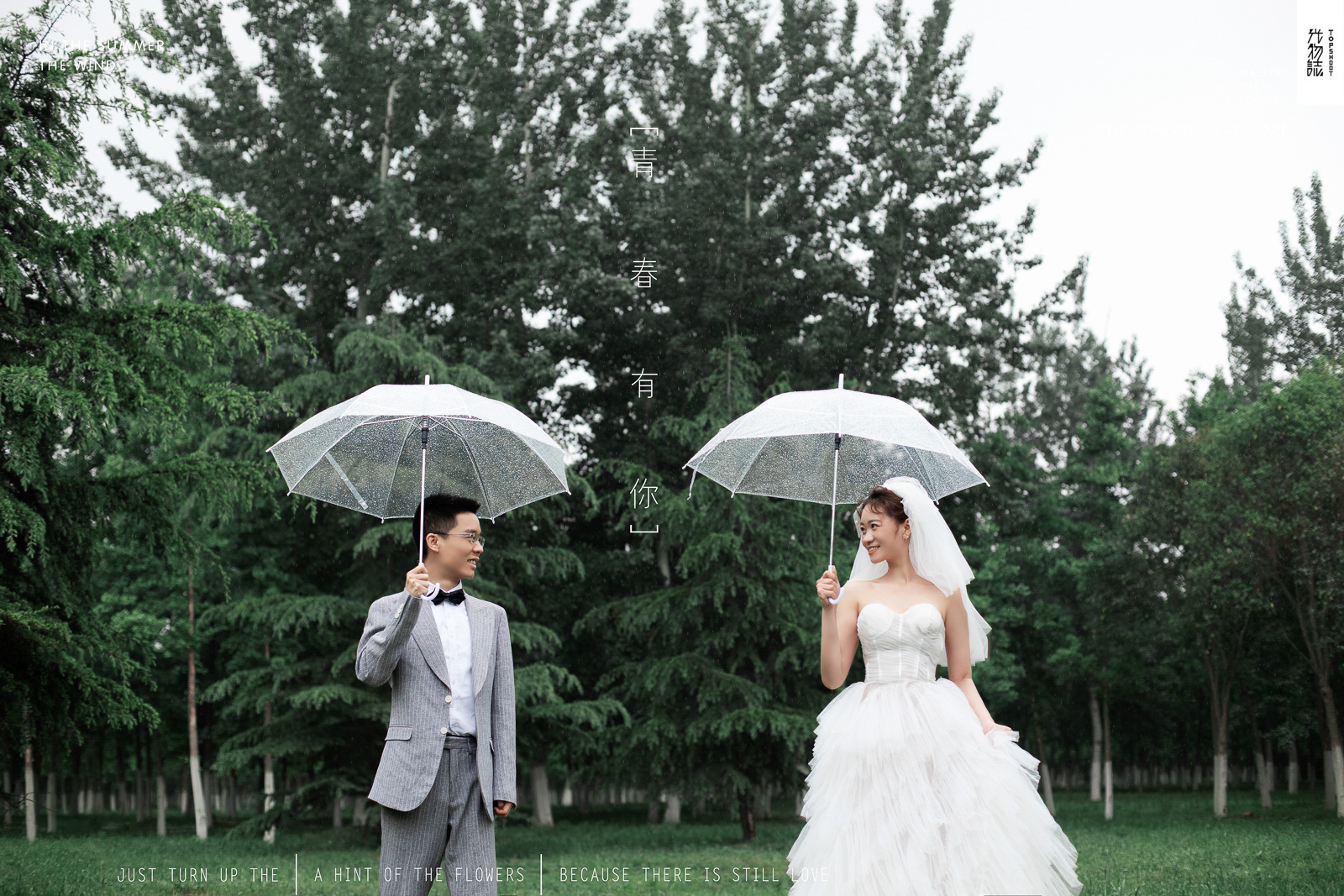 小小小清新:)李康先生王茹女士森系ins风婚纱照、极简棚拍、、、婚纱照