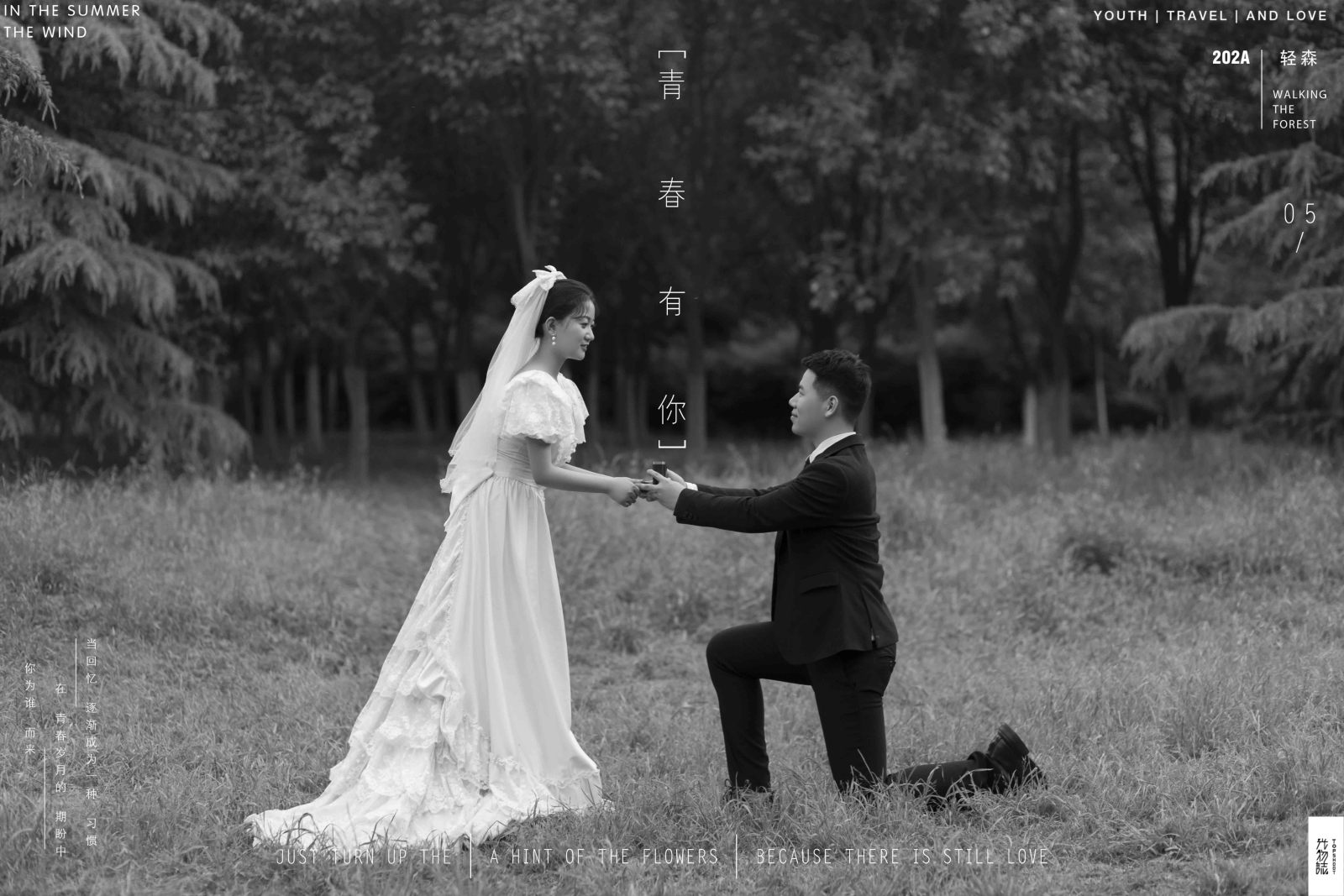 陈明先生方鸽女士你的甜蜜婚纱照、中式传承、、、婚纱照