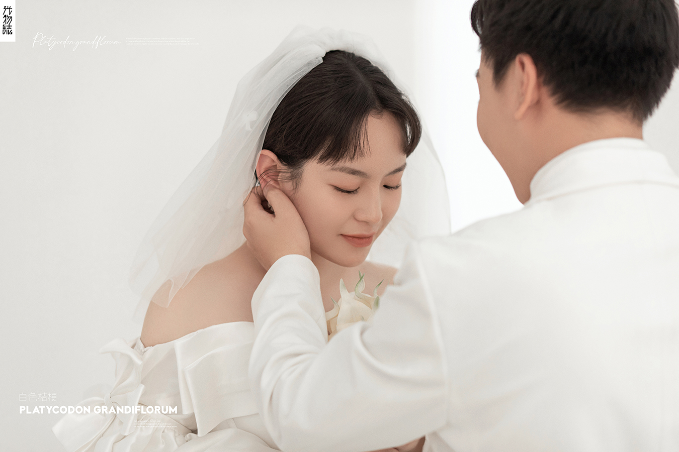今日婚纱OOTD.王宇辉先生紫藤女士高定仪式感婚纱照、极简棚拍、、、婚纱照
