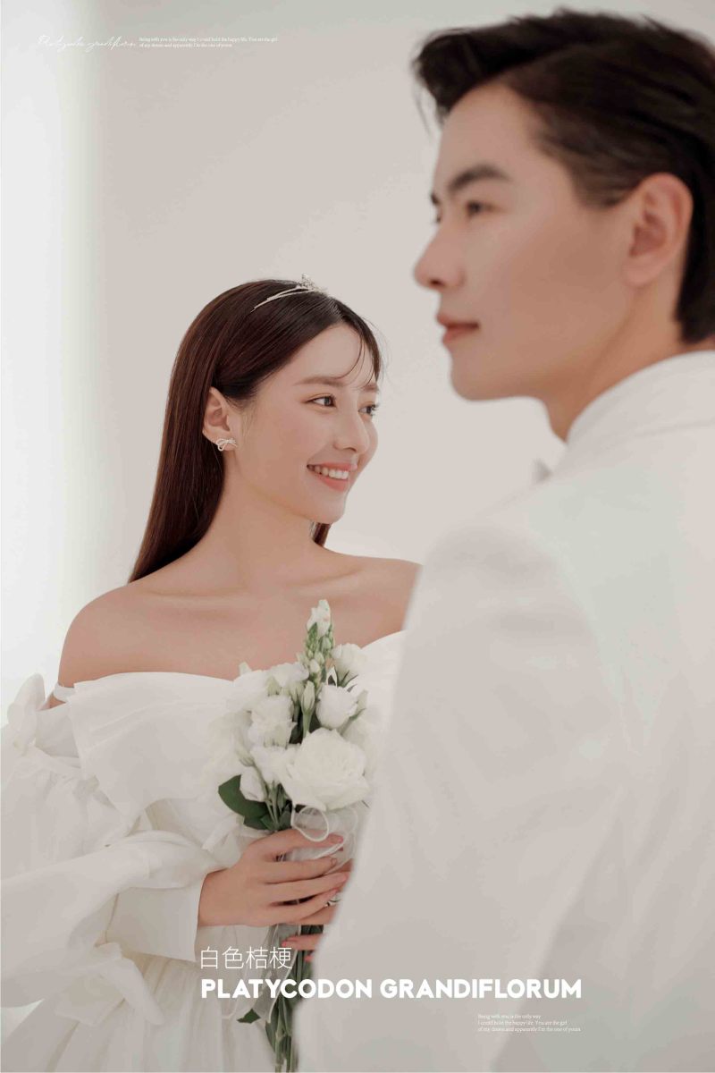 白色桔梗、极简棚拍、