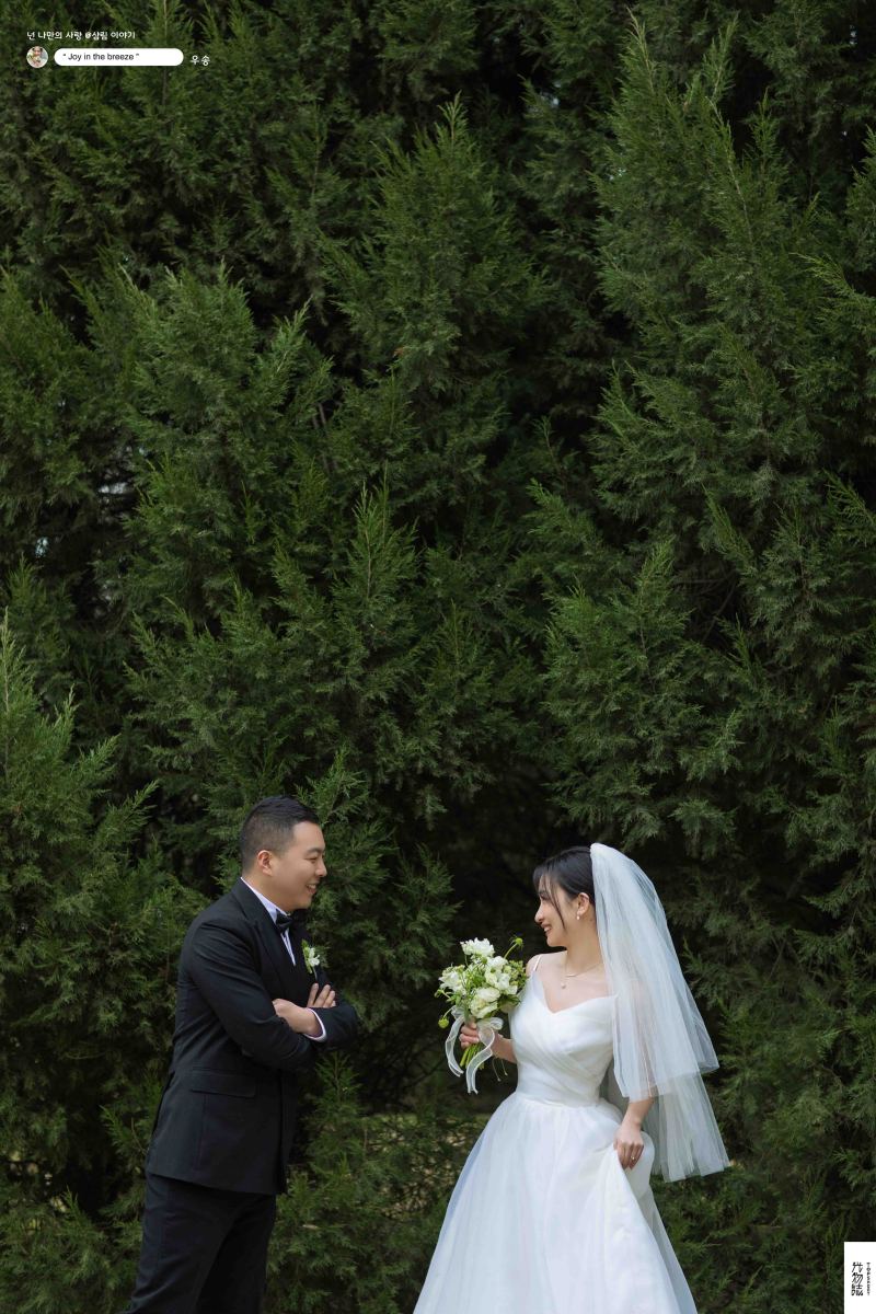 极致情绪！张悦先生党浪飞女士氛围森系婚纱照、氛围森系、艾辰、偷偷练过读心术，精准预判每一个想法，细腻到心里、婚纱照