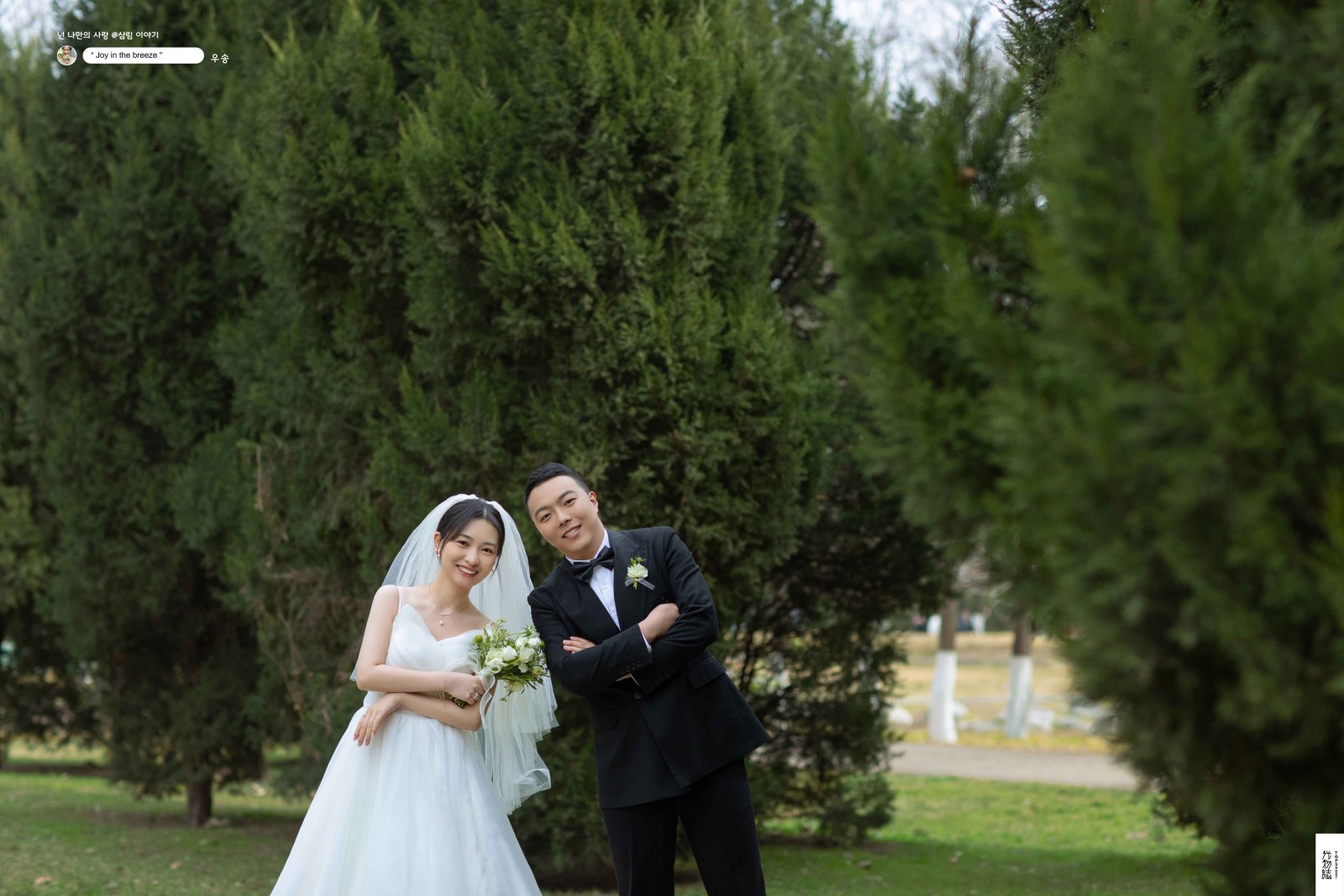 极致情绪！张悦先生党浪飞女士氛围森系婚纱照、氛围森系、艾辰、偷偷练过读心术，精准预判每一个想法，细腻到心里、婚纱照