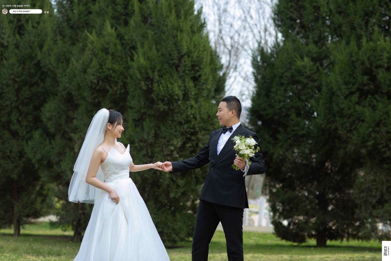 极致情绪！张悦先生党浪飞女士氛围森系婚纱照、氛围森系、艾辰、偷偷练过读心术，精准预判每一个想法，细腻到心里、婚纱照