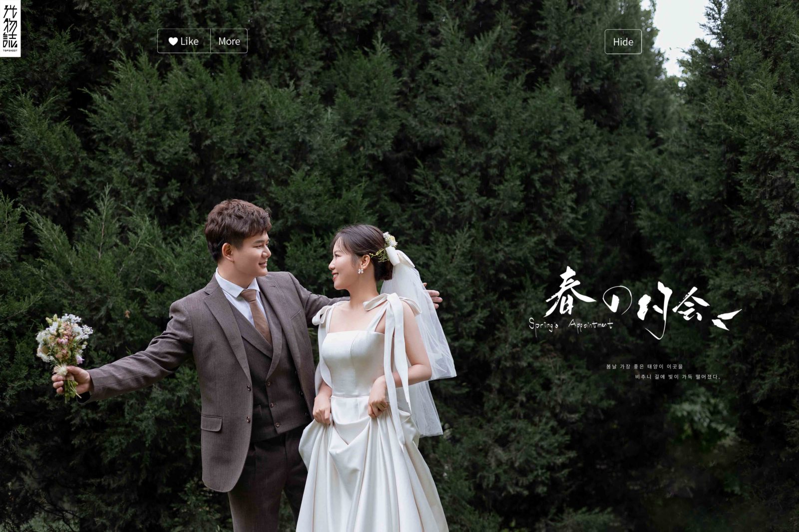 新鲜出炉:)赵旭先生马晨曦女士氛围森系婚纱照、氛围森系、韩松、行走的放大镜，现场细节，姿态指导的掌控者、婚纱照