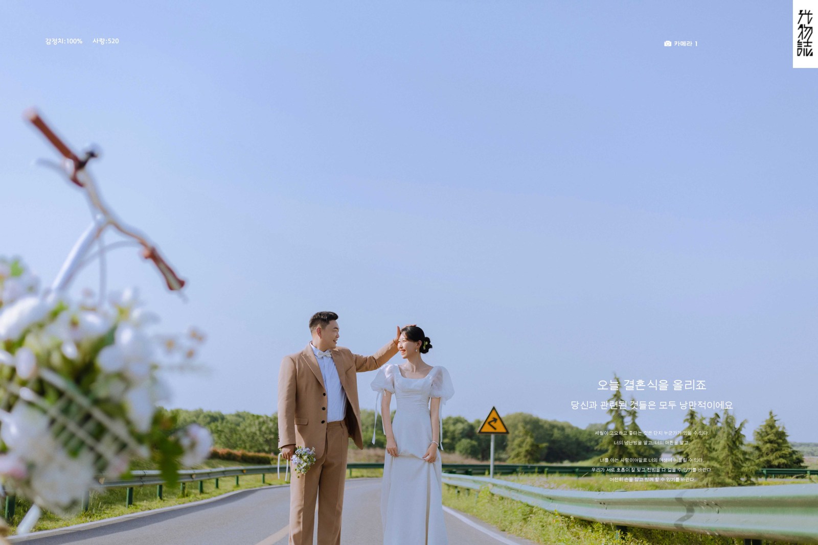 简单爱爱爱❤️李伟先生陈茜女士氛围森系婚纱照、氛围森系、毛磊、谁说拍照不能freestyle，创作灵感像吃了炫迈停不下来、婚纱照
