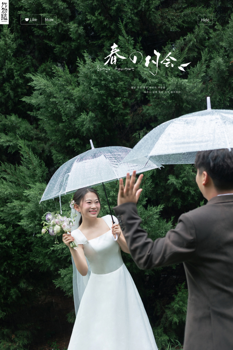 浪漫雨季、氛围森系、