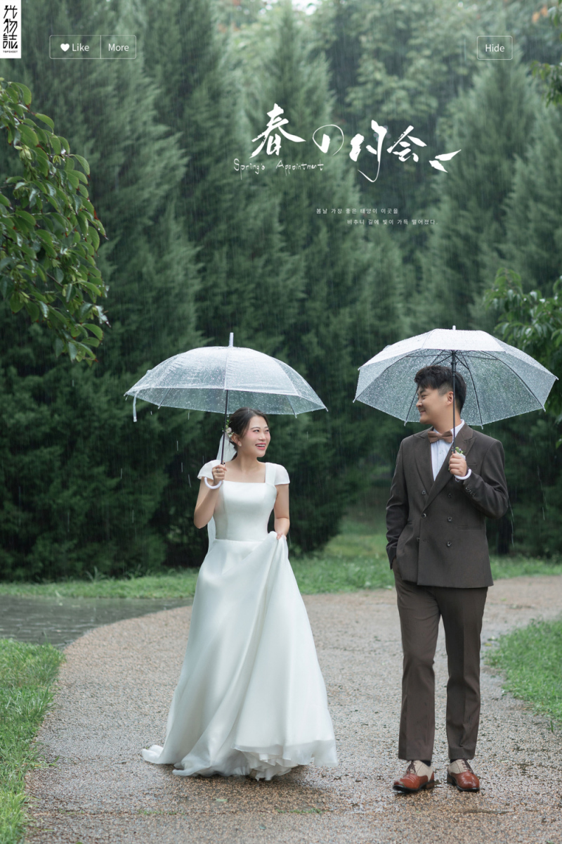 浪漫雨季、氛围森系、