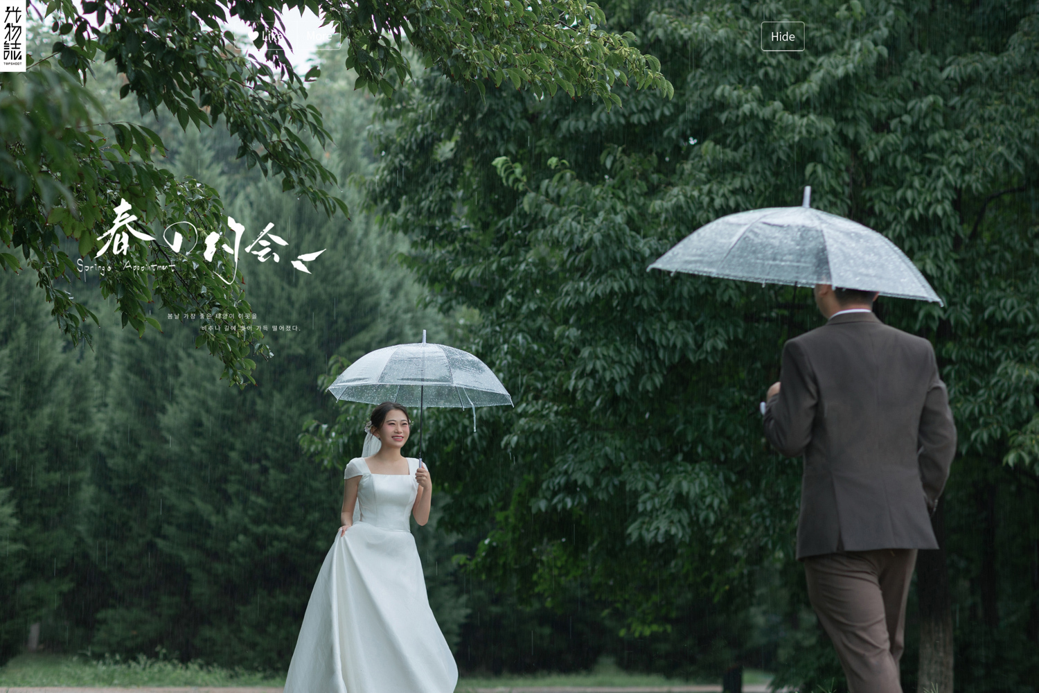 浪漫雨季、氛围森系、