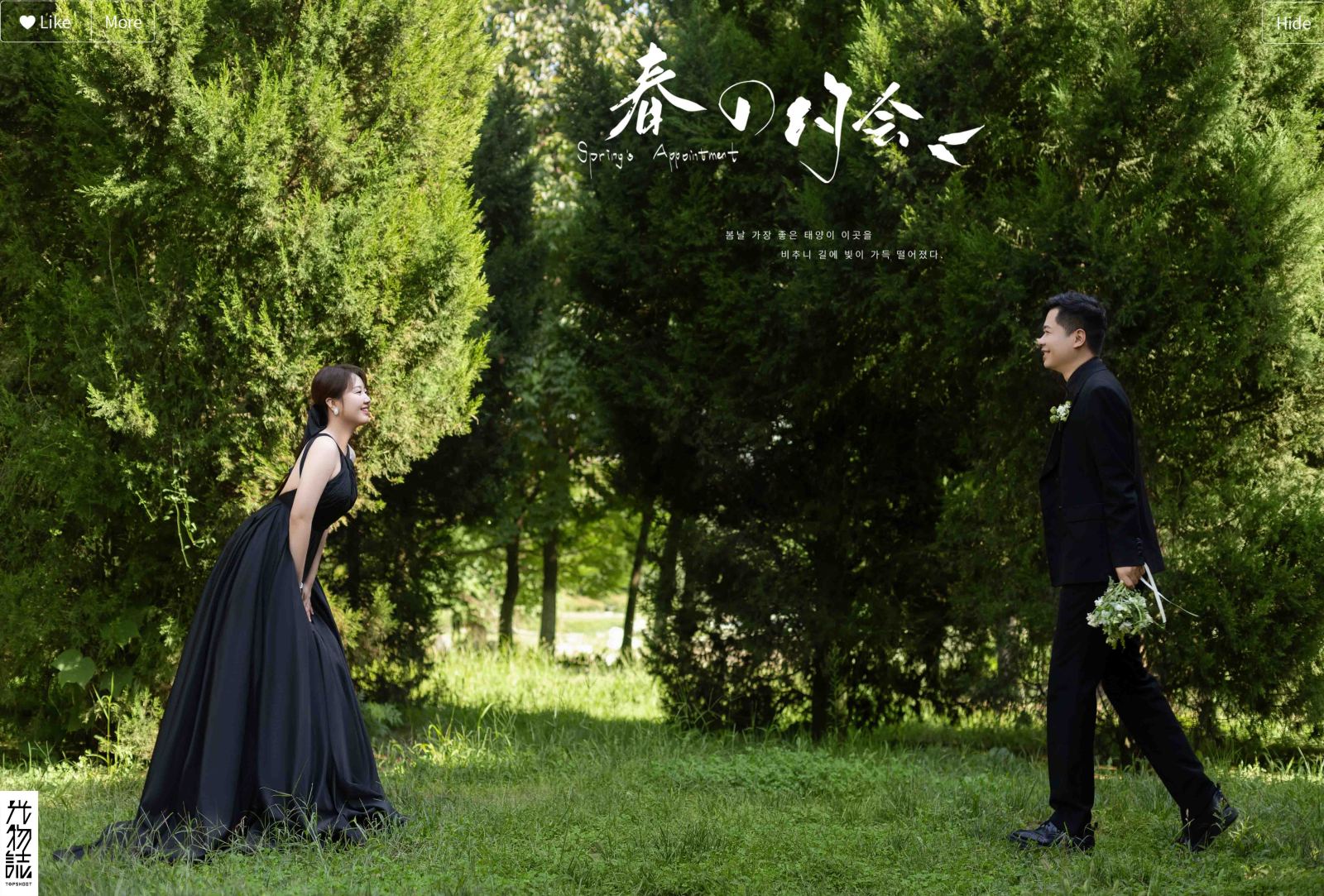 炒鸡甜~李智先生高美女士氛围森系婚纱照、氛围森系、木子、唠嗑型选手，构图多变、情绪拿捏，特写YYDS、婚纱照