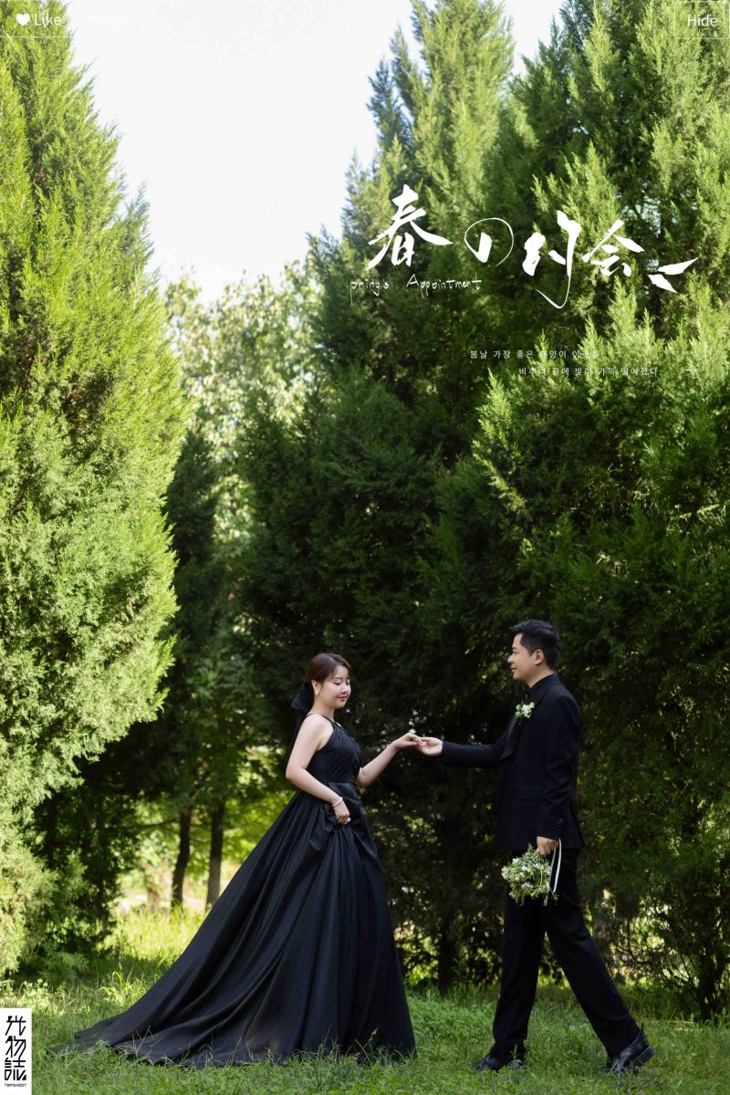 森系恋爱画报、氛围森系、