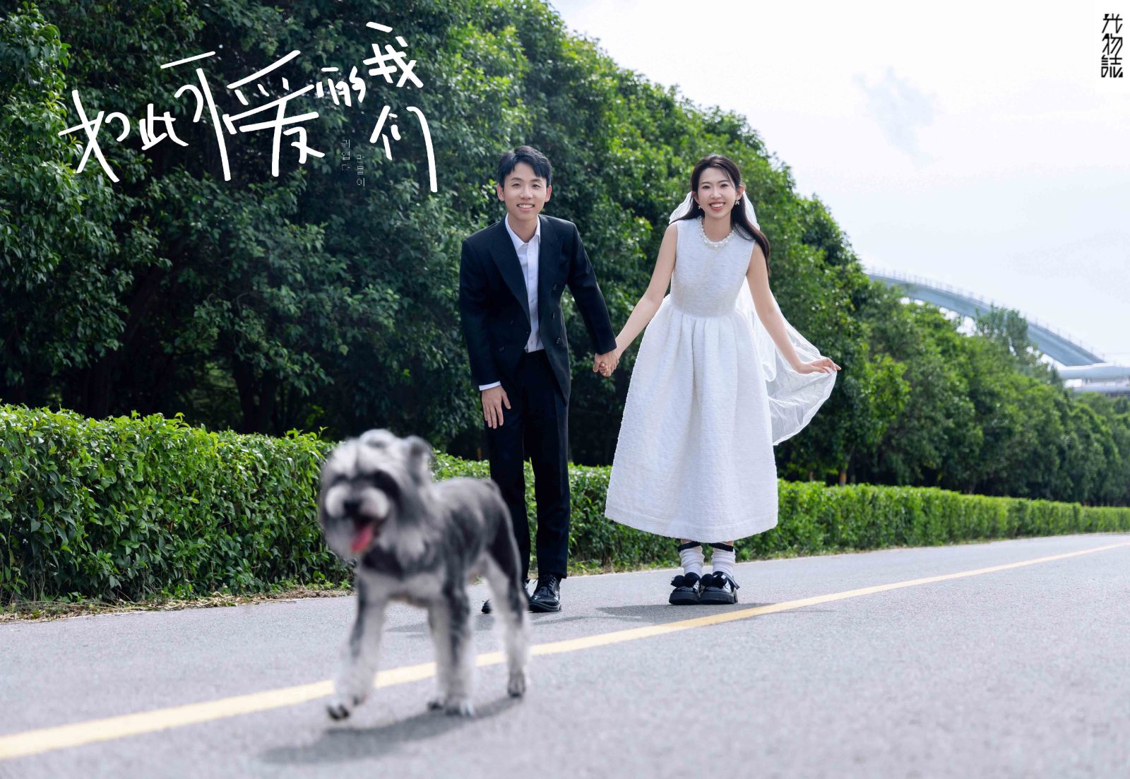 极致情绪！石磊先生李海玥女士氛围森系婚纱照、极简棚拍  氛围森系、木子、唠嗑型选手，构图多变、情绪拿捏，特写YYDS、婚纱照