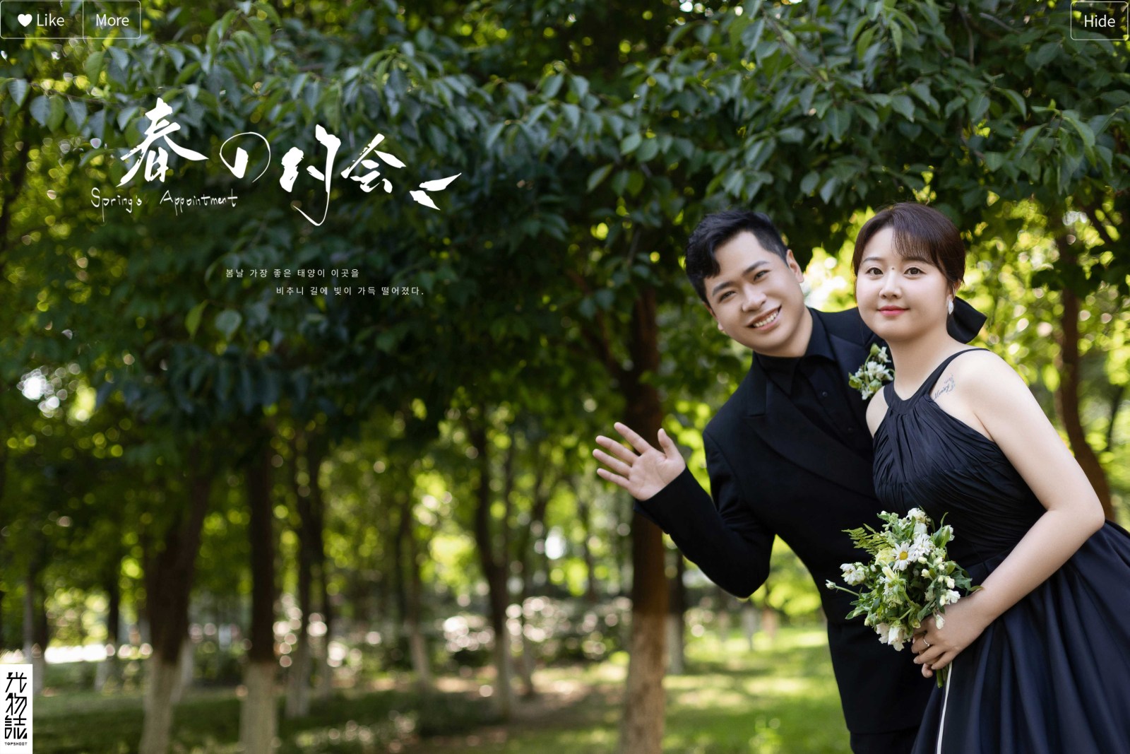 炒鸡甜~李智先生高美女士氛围森系婚纱照、氛围森系、木子、唠嗑型选手，构图多变、情绪拿捏，特写YYDS、婚纱照