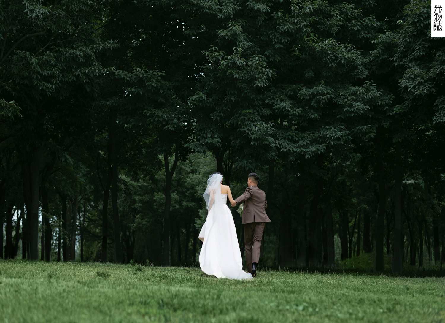 极致情绪！胡先生李女士氛围森系婚纱照、氛围森系、艾辰、偷偷练过读心术，精准预判每一个想法，细腻到心里、婚纱照