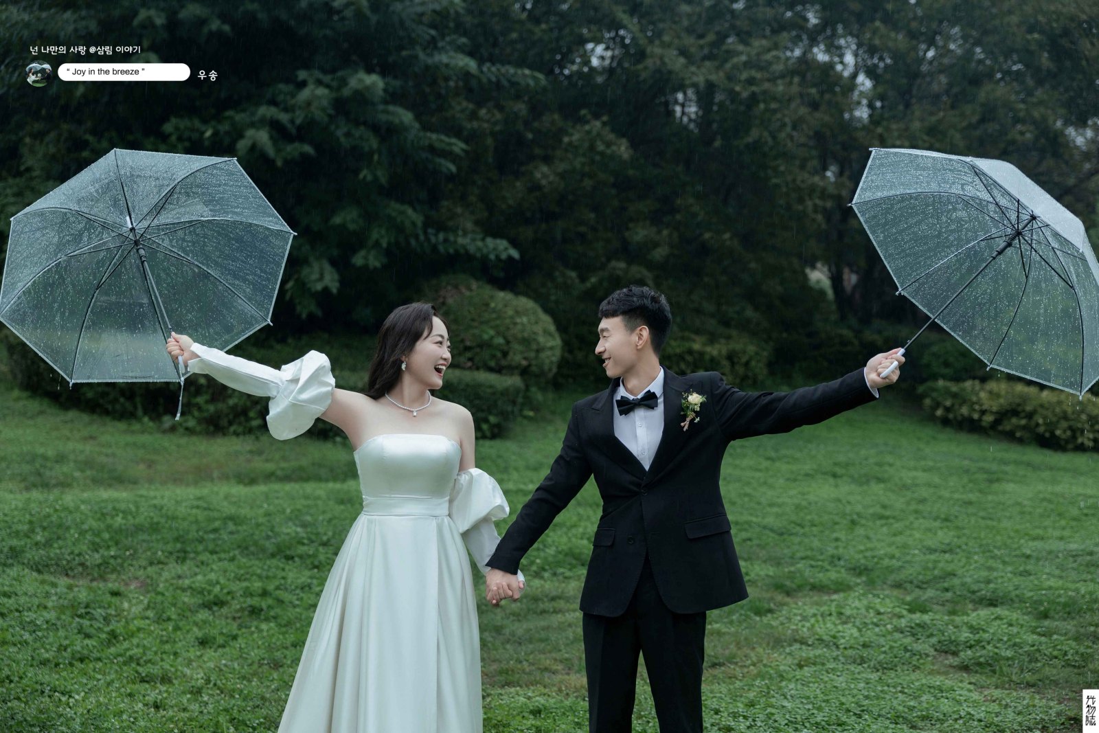 雨和你、氛围森系、