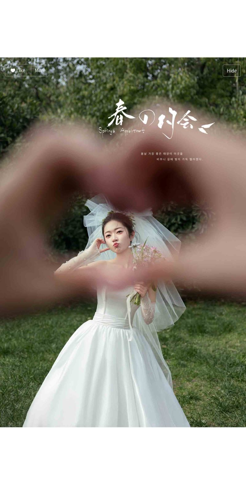 恋爱画报、氛围森系、