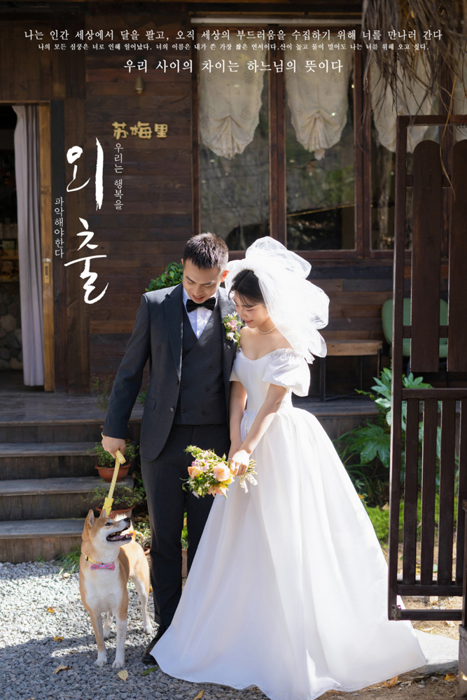 浪漫满屋、物誌生活、