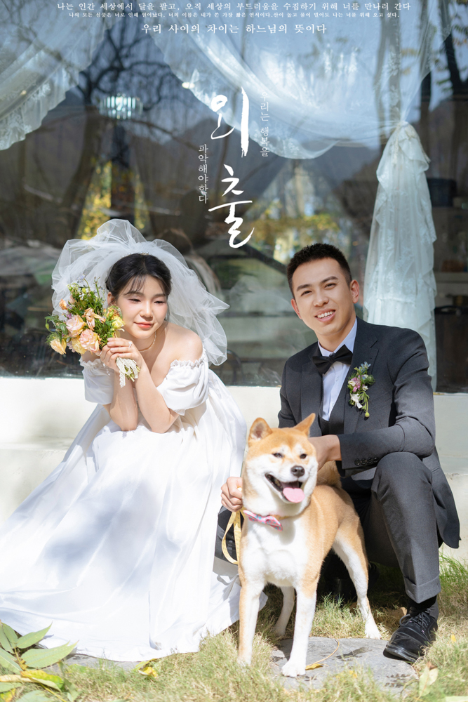 浪漫满屋、物誌生活、