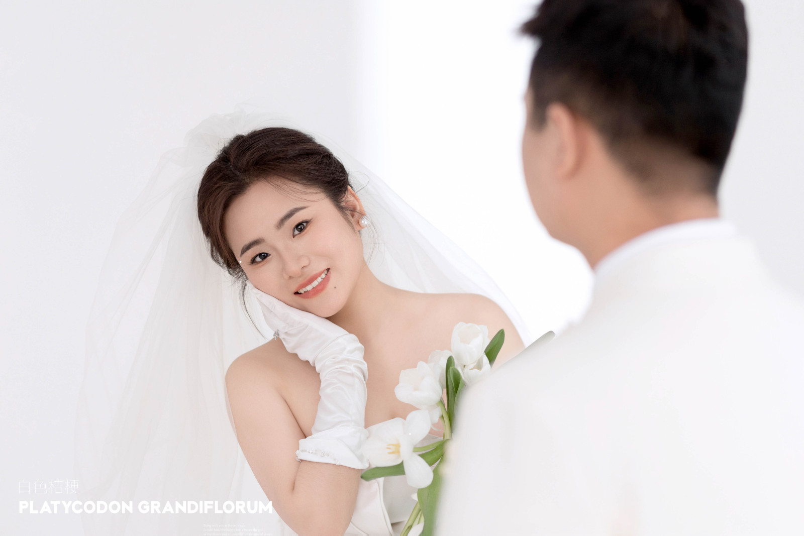 白色桔梗、极简棚拍、