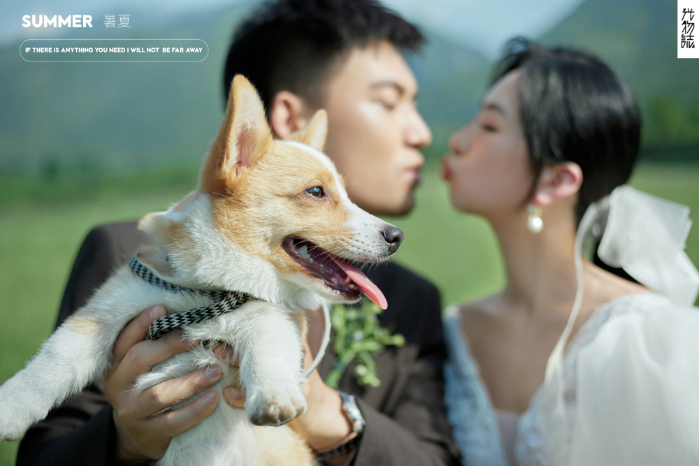 爱了~爱了~薛先生陶女士电影纪实婚纱照、电影纪实、刘康、六边形战士，不止是沟通，拍摄想法，创造思维样样拿捏。、婚纱照