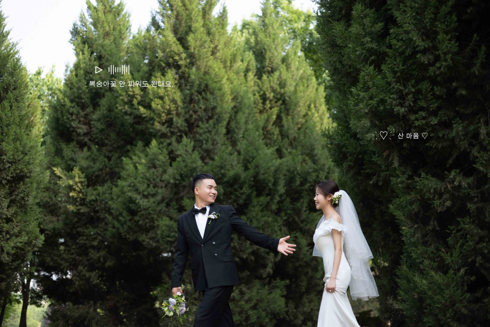 新鲜出炉:)杨顺平先生王慧丽女士极简棚拍婚纱照、氛围森系、韩松、行走的放大镜，现场细节，姿态指导的掌控者、婚纱照