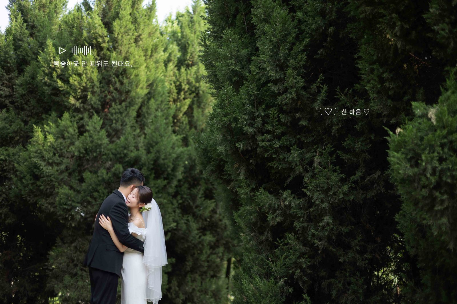 新鲜出炉:)杨顺平先生王慧丽女士极简棚拍婚纱照、氛围森系、韩松、行走的放大镜，现场细节，姿态指导的掌控者、婚纱照