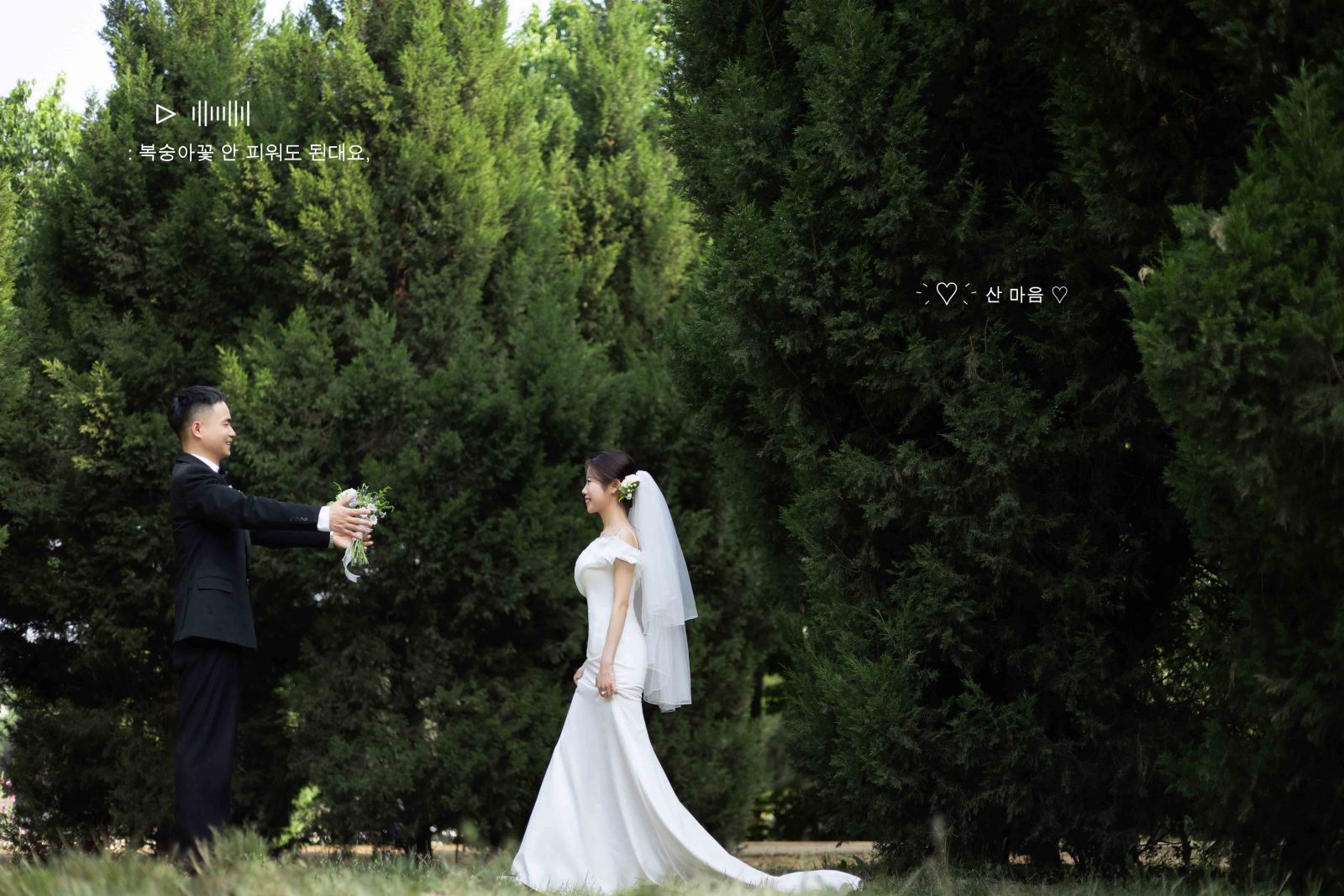 新鲜出炉:)杨顺平先生王慧丽女士极简棚拍婚纱照、氛围森系、韩松、行走的放大镜，现场细节，姿态指导的掌控者、婚纱照