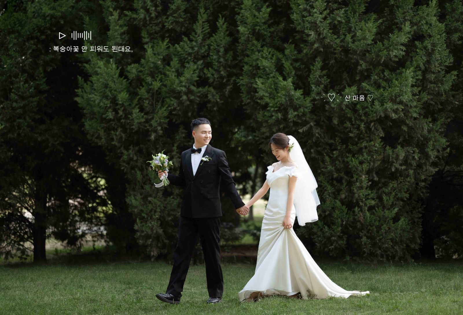 新鲜出炉:)杨顺平先生王慧丽女士极简棚拍婚纱照、氛围森系、韩松、行走的放大镜，现场细节，姿态指导的掌控者、婚纱照