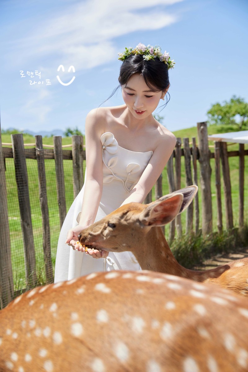 炒鸡甜~刘宁先生靳洋女士氛围森系婚纱照、氛围森系、木子、唠嗑型选手，构图多变、情绪拿捏，特写YYDS、婚纱照