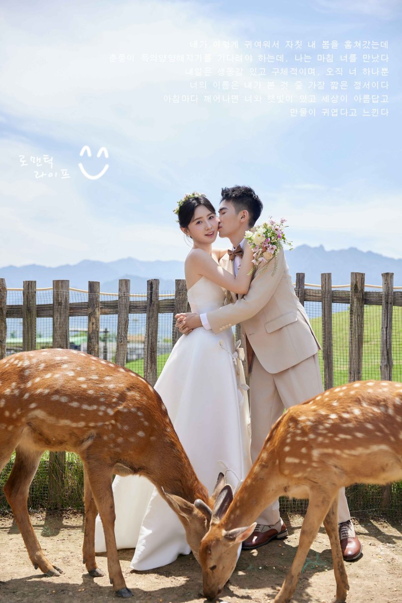 炒鸡甜~刘宁先生靳洋女士氛围森系婚纱照、氛围森系、木子、唠嗑型选手，构图多变、情绪拿捏，特写YYDS、婚纱照