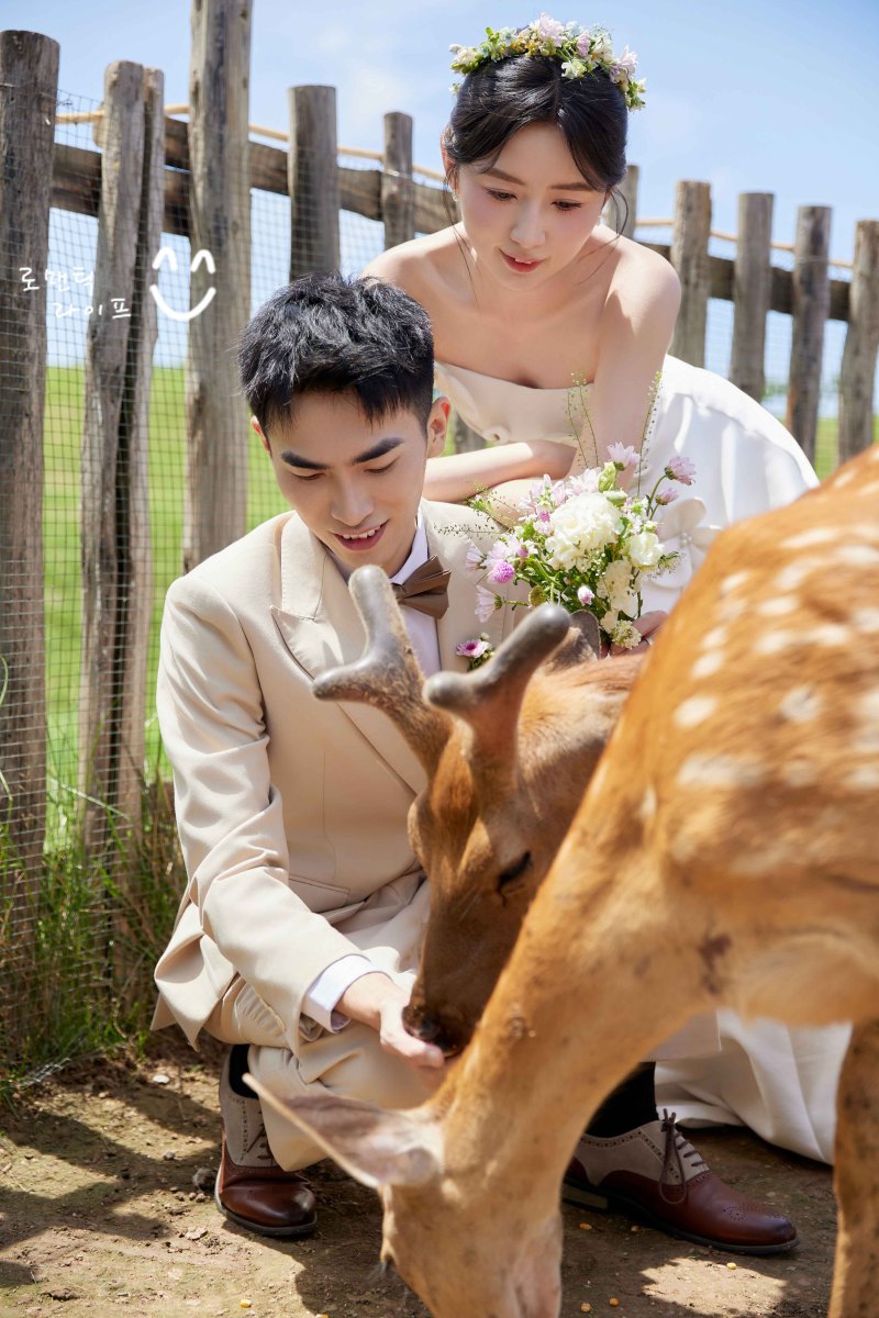 炒鸡甜~刘宁先生靳洋女士氛围森系婚纱照、氛围森系、木子、唠嗑型选手，构图多变、情绪拿捏，特写YYDS、婚纱照