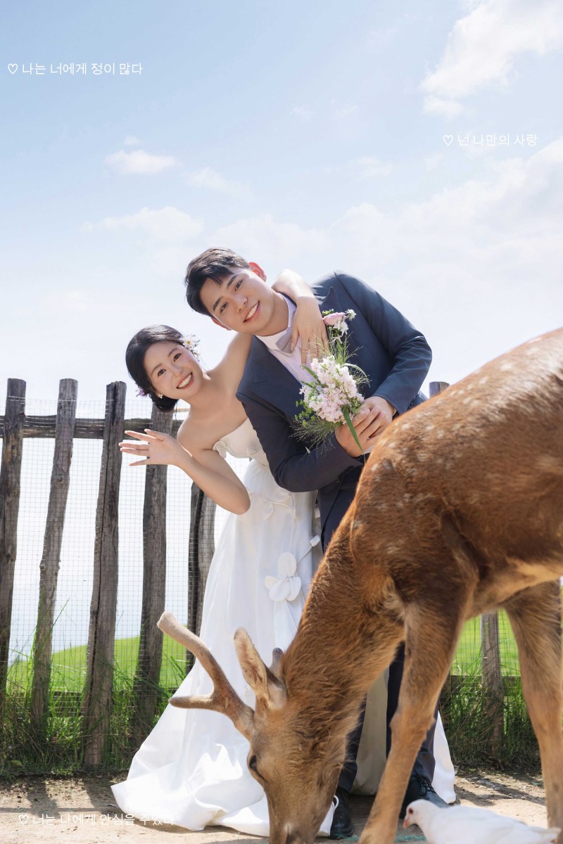 满满狗粮~周瑜先生石玲玲女士氛围森系婚纱照、氛围森系、木子、唠嗑型选手，构图多变、情绪拿捏，特写YYDS、婚纱照