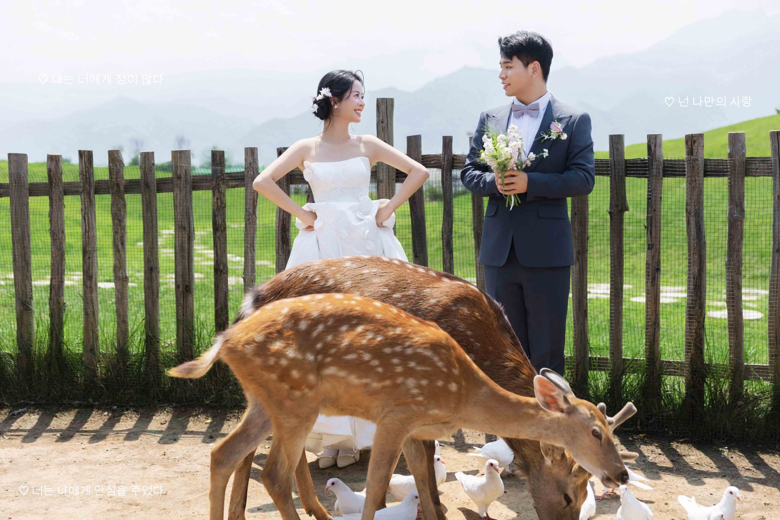 满满狗粮~周瑜先生石玲玲女士氛围森系婚纱照、氛围森系、木子、唠嗑型选手，构图多变、情绪拿捏，特写YYDS、婚纱照