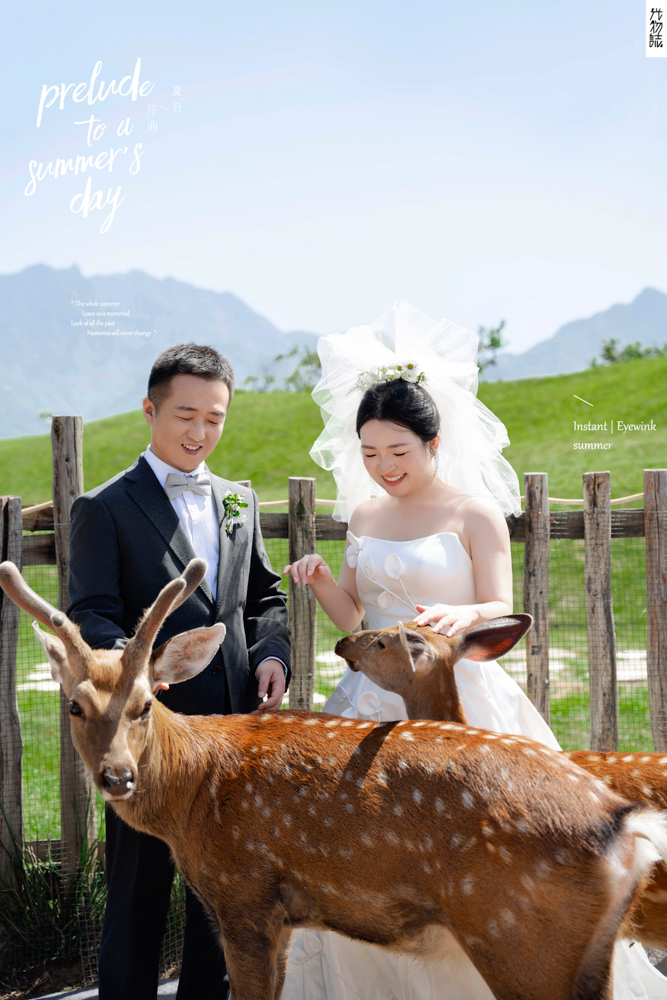 撒狗粮啦~贾先生王女士物誌生活婚纱照、物誌生活、刘康、六边形战士，不止是沟通，拍摄想法，创造思维样样拿捏。、婚纱照