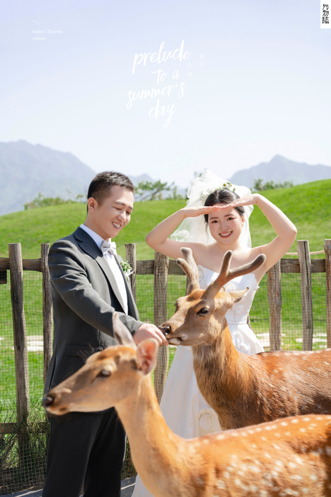 撒狗粮啦~贾先生王女士物誌生活婚纱照、物誌生活、刘康、六边形战士，不止是沟通，拍摄想法，创造思维样样拿捏。、婚纱照