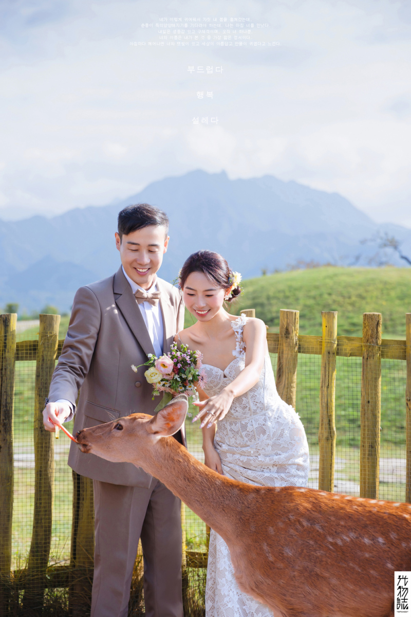 幸福感爆棚党先生任女士氛围森系婚纱照、氛围森系、艾辰、偷偷练过读心术，精准预判每一个想法，细腻到心里、婚纱照
