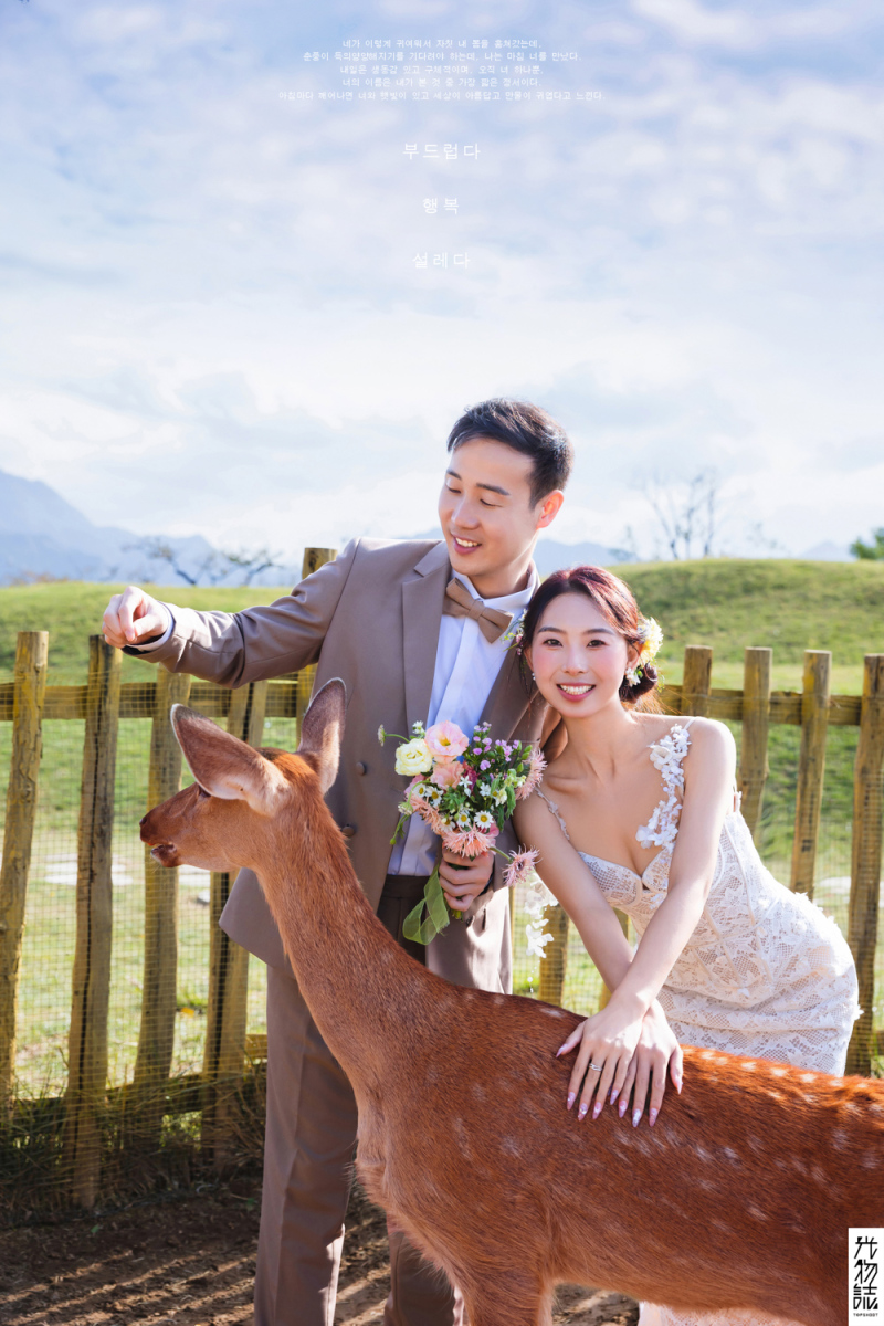 幸福感爆棚党先生任女士氛围森系婚纱照、氛围森系、艾辰、偷偷练过读心术，精准预判每一个想法，细腻到心里、婚纱照