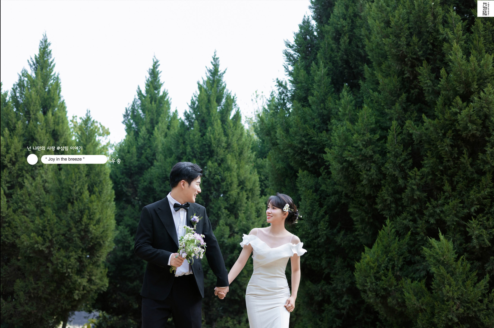 宝藏情侣~张先生闫女士氛围森系婚纱照、氛围森系、白玛、怀疑是不是修导演系，拍照像电影一样的构图和质感、婚纱照