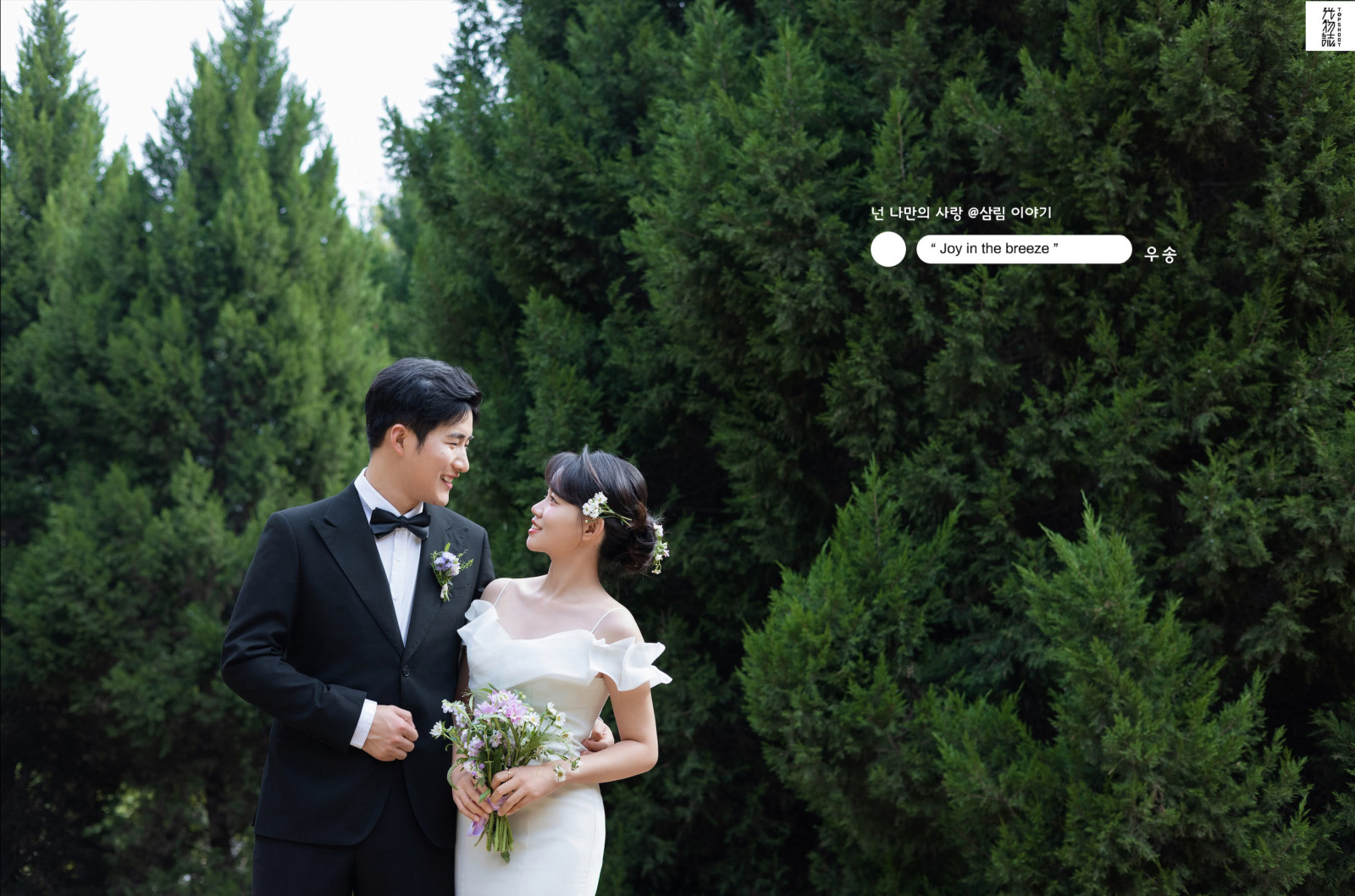 宝藏情侣~张先生闫女士氛围森系婚纱照、氛围森系、白玛、怀疑是不是修导演系，拍照像电影一样的构图和质感、婚纱照