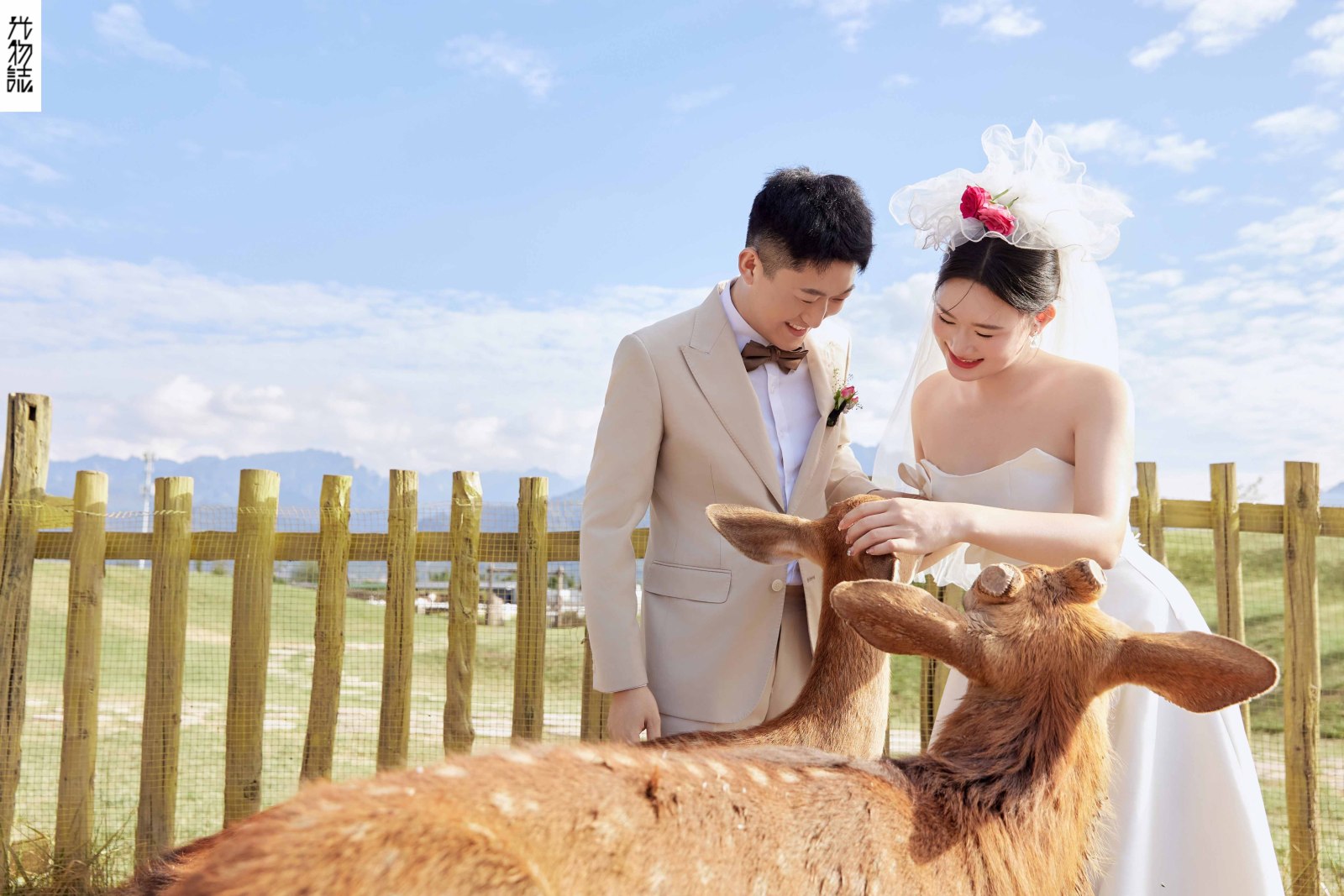 美到想哭1551吴先生陈女士氛围森系婚纱照、氛围森系、正林、眼睛就是测光仪，任何场地都能发挥成MVP、婚纱照