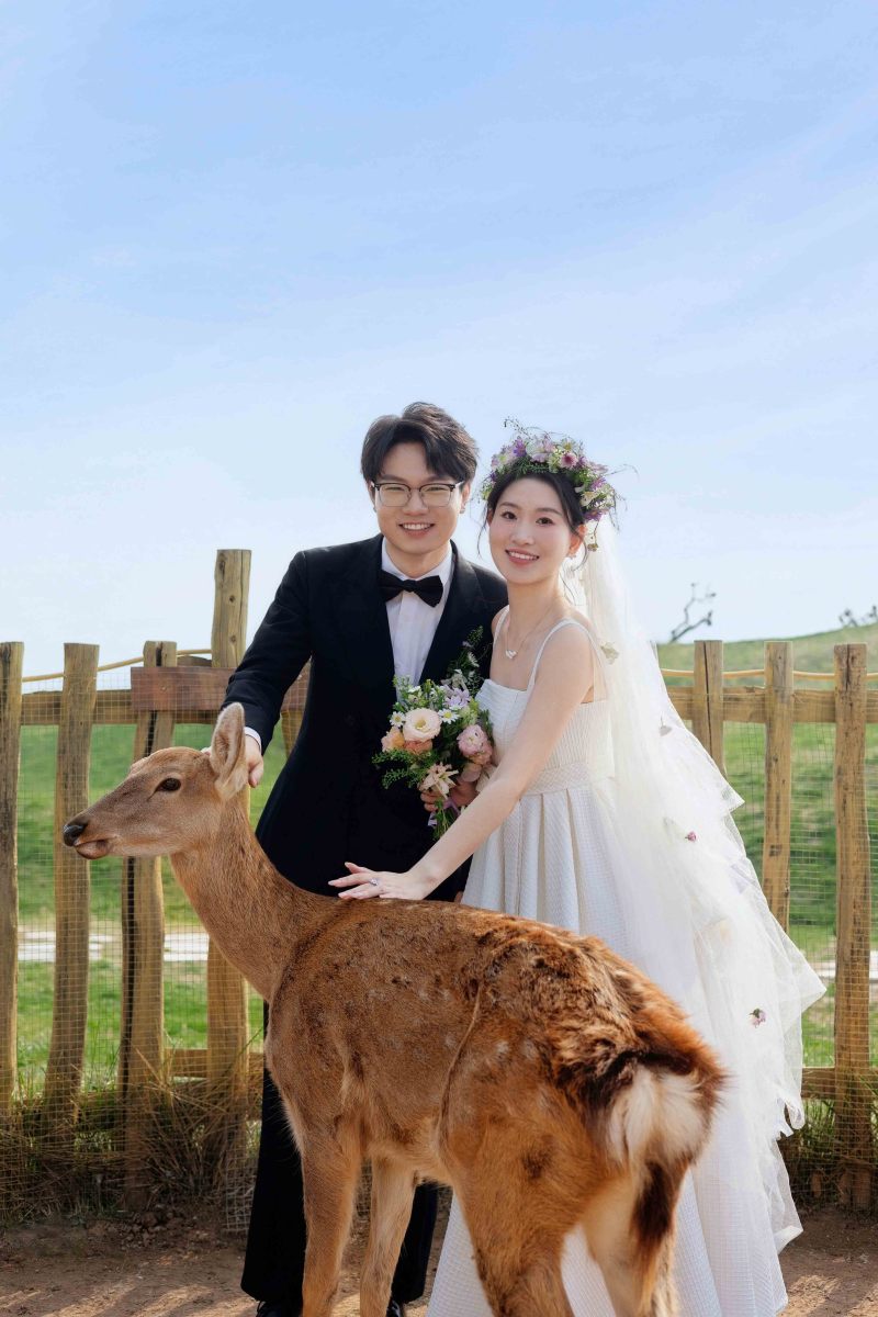 极致情绪！任先生尹女士氛围森系婚纱照、氛围森系、毛磊、谁说拍照不能freestyle，创作灵感像吃了炫迈停不下来、婚纱照