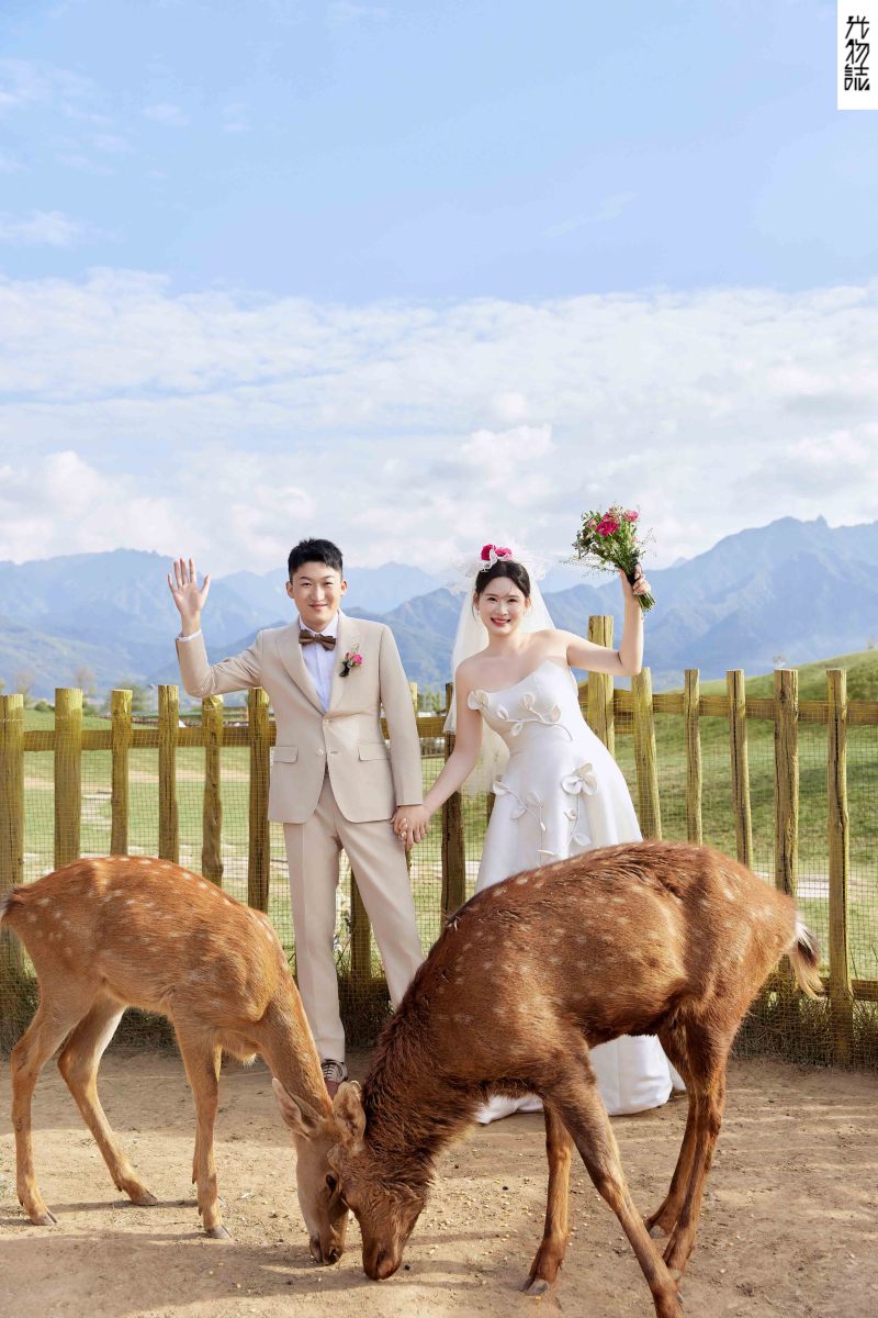 美到想哭1551吴先生陈女士氛围森系婚纱照、氛围森系、正林、眼睛就是测光仪，任何场地都能发挥成MVP、婚纱照