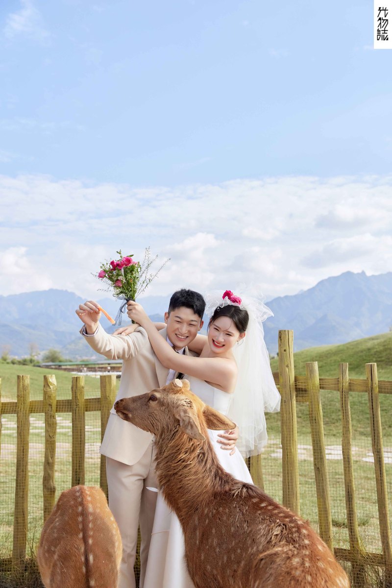 美到想哭1551吴先生陈女士氛围森系婚纱照、氛围森系、正林、眼睛就是测光仪，任何场地都能发挥成MVP、婚纱照