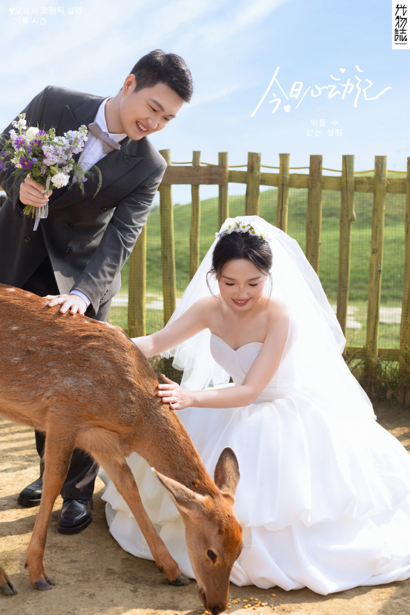太太太太可了~~！李先生女士氛围森系婚纱照、氛围森系、艾辰、偷偷练过读心术，精准预判每一个想法，细腻到心里、婚纱照