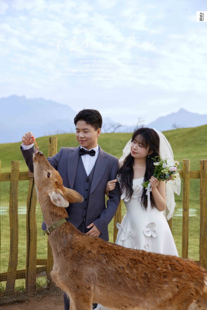 新鲜出炉:)白娜女士物誌生活婚纱照、物誌生活  氛围森系、韩松、行走的放大镜，现场细节，姿态指导的掌控者、婚纱照