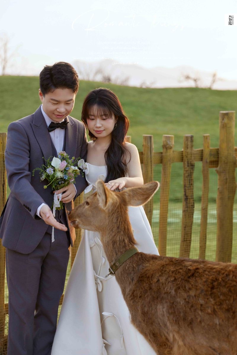 新鲜出炉:)白娜女士物誌生活婚纱照、物誌生活  氛围森系、韩松、行走的放大镜，现场细节，姿态指导的掌控者、婚纱照