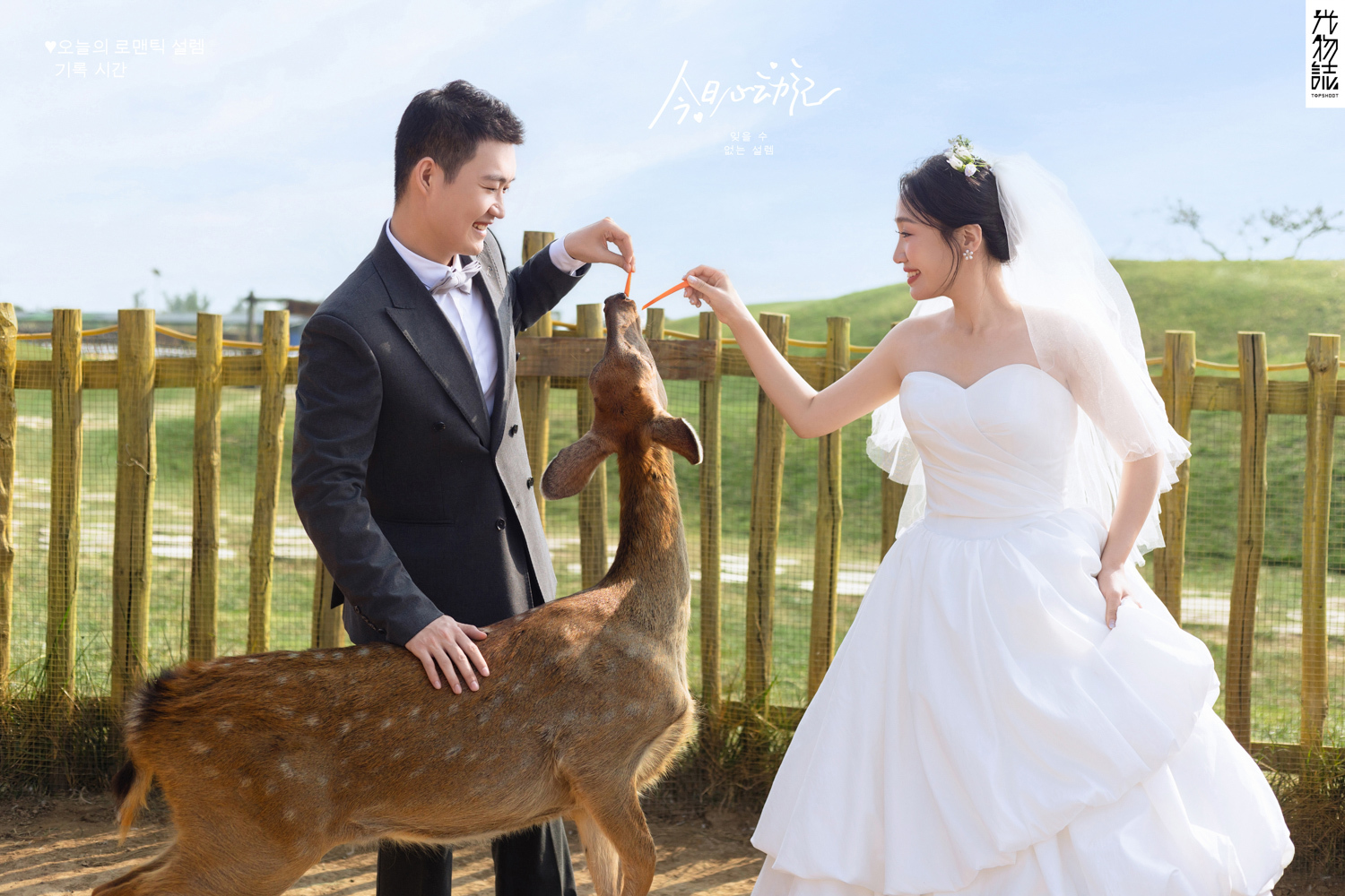 太太太太可了~~！李先生女士氛围森系婚纱照、氛围森系、艾辰、偷偷练过读心术，精准预判每一个想法，细腻到心里、婚纱照